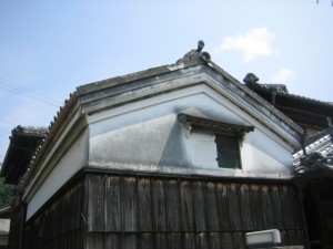 IMG_3020