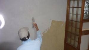 P1010572