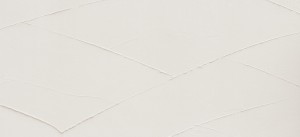 top_bg002